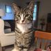 Helene Bailey - Facebook