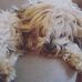 Helene Barthez - Facebook