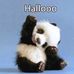 Helene Beach - Facebook