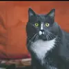 Helene Becker - @helene.becker - TikTok