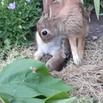 Helene Becker - Facebook