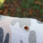 Helene birke - @birke.helene - Instagram