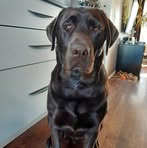 Helene Bond - Facebook