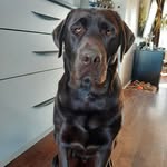 Helene Bond - @daisybond007 - Instagram