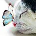 Helene Campbell - Facebook
