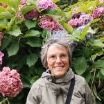 Hélène Carrier - @helene.carrier34 - Instagram