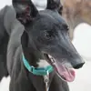 Helene Friedman - @helene.friedman - TikTok