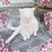 Helene Handler - Facebook