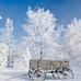 Helene Hart - Facebook