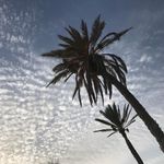 Hélène 🏝️🥂💃 - @helene_._hebert - Instagram