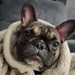 Helene Hebert - Facebook