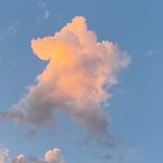 Hélène Ferret-Kaufman - @hferret - Instagram