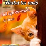 Helene Mayer - Facebook