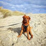 Helene Mayer - @h.mayer201080 - Instagram