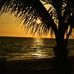 Helene Hurt Newman - Facebook