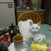 Helene Newman - Facebook
