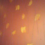 helene park - @helenepark382007 - Instagram