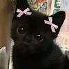 Helena_ pasin - @helena_.pasin - TikTok