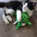 Helene Paulin - Facebook
