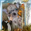 heleneprince490 - @heleneprince490 - TikTok