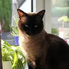 Helene Schmidt - @sammy011213 - TikTok