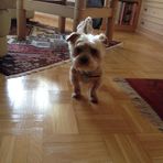 Helene Steiner - Facebook