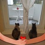 Hélène Vincent - @helenevincent3521 - Instagram