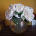 Helene Wilhelm - Facebook