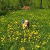 Helga Bauer - Facebook