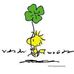 Helga Graf - Facebook