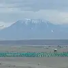 Helga Graft - @helga.graft - TikTok