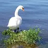 helgagraf - @helgagraf - TikTok