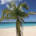 Helga Hahn - @helgahahn2020 - Instagram