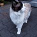 Helga Hahn - Facebook