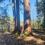 Helga Heck - @helglein - Instagram