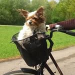 Helga Heckmann - @helgaheckmann - Instagram