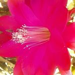 Helga Hoffmann - @laramarie16031111111 - Instagram
