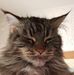 Helga Hoffmann - Facebook