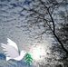 Helga Moser - Facebook