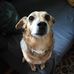 Helga Moser - Facebook