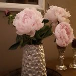 Helga Moser - @helgam690 - Instagram
