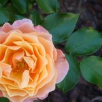 helga moser - @atempausejetzt - Instagram