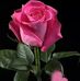 Helga Ramirez - Facebook