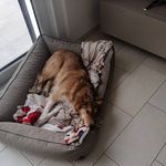 Helga Reisinger - @reisingerhelga - Instagram