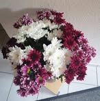 Helga Winter - Facebook