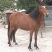 Helio Lopez - Facebook