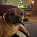 Helle Jensen - Facebook
