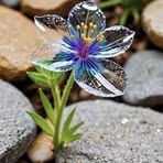 Helle Jensen - Facebook