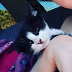 Hellen - @hellen.walker.lolato - Instagram