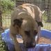 Hellen White - In the Community - Facebook
